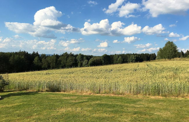 Schonsee Forest Escape - Foto 38