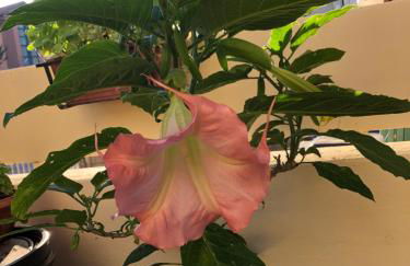 "CASA ROSI" Tel trequattrozero trentatre tredici seiquattrouno - Foto 47