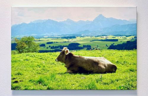 Königlicher Schloss- und Alpenblick - Foto 23