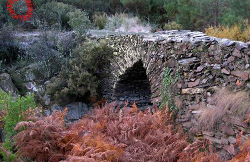 Ramajal Rural - Foto 52