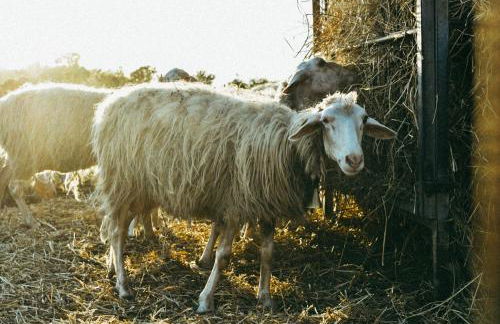 Agriturismo Vallerana - Foto 11