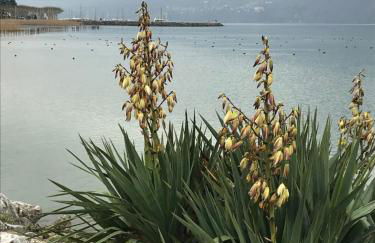 7 Boulevard des Côtes - Foto 13