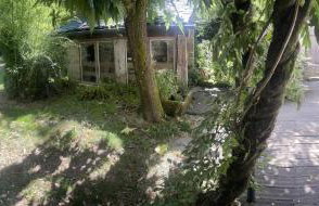 Les Fourniols - Foto 19