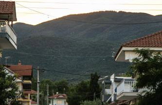 Amalia Center - Photo 11