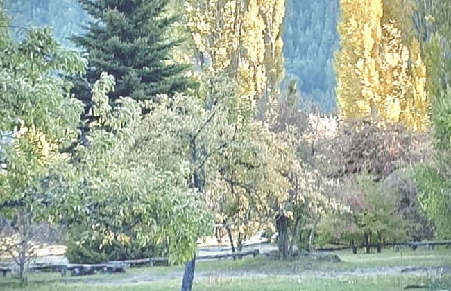 Amazing Cabin on the Shore of Lake Moreno H58 by Apartments Bariloche - Photo 45