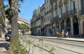 Renaissance - Foto 23