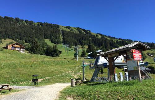 Les Saisies Bisanne - Foto 33