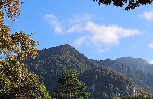 Gästehaus zum Giggerer - Foto 14