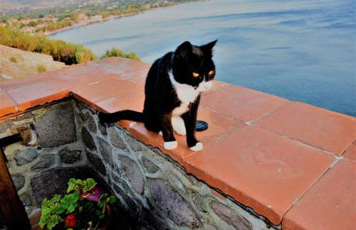 Villa Annie - Photo 34