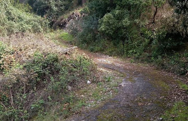 Daphnus Apartment in Agios Konstantinos - Photo 27