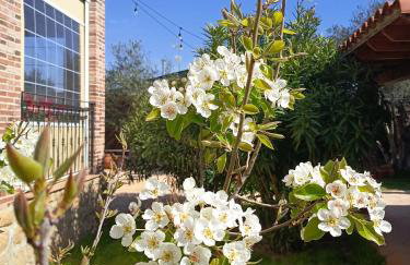 Casa Rural Dani. Escalona - Foto 4
