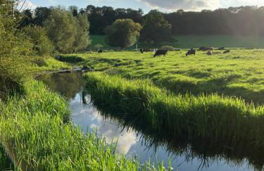 Hertford farm Woodland cabin pet friendly firepit bbq - Foto 50