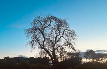 Stewards Bothy - Foto 40