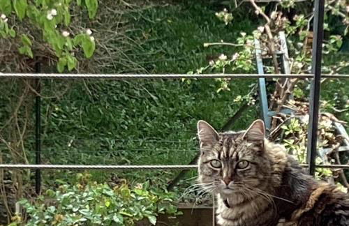 Good Life à Strasbourg - Foto 7