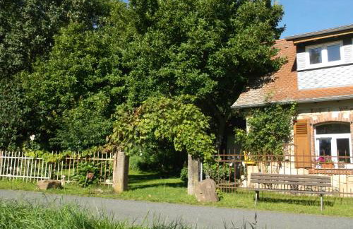 Ferienhaus mit Garten im Odenwald zu vermieten - Foto 3