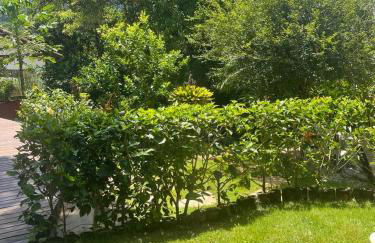 Paradise at your feet - Foto 19