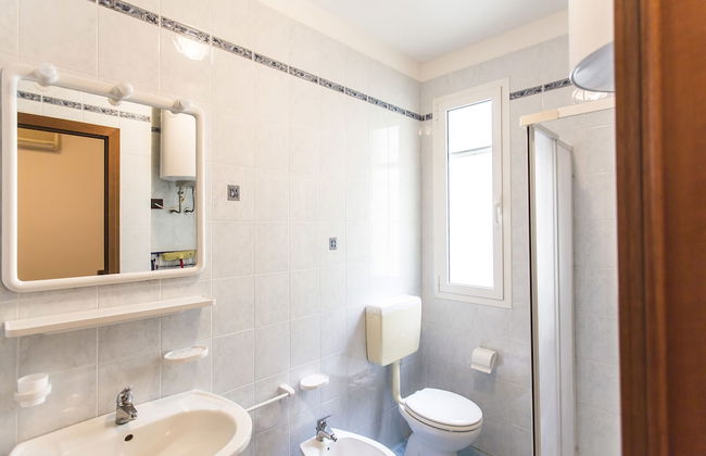 Calycanthus - Foto 34