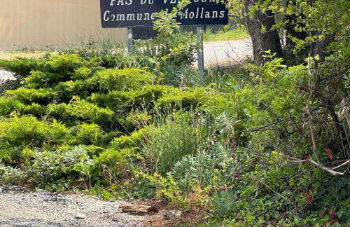 VILLA PROCHE VENTOUX et VAISON LA ROMAINE avec piscine privée - Foto 26