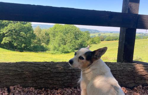 Outstandingly Situated Cosy Shepherds Hut - Foto 11