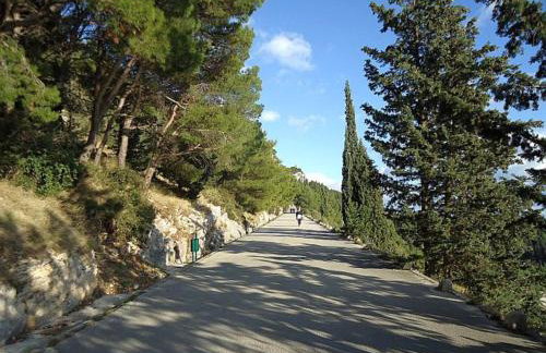 Apartment Green Oasis - Photo 35