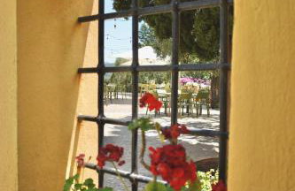 Azienda Agrituristica Le Puzelle - Foto 52