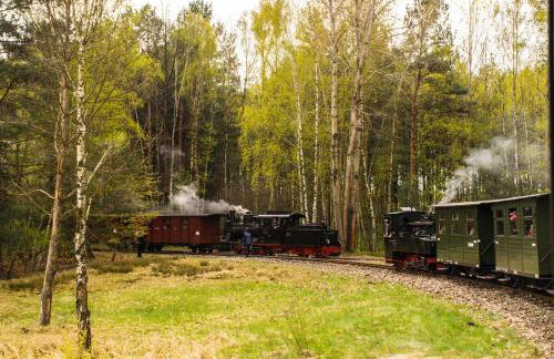 Ferienwohnung Schlossblick Direkt gegenüber dem Schloss, Rhododendronpark mit Terrasse und WLAN - Foto 33