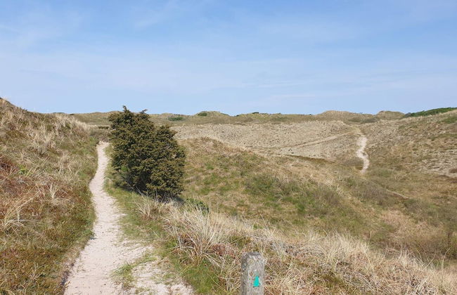 10 Person Holiday Home in Bindslev-by Traum - Foto 6