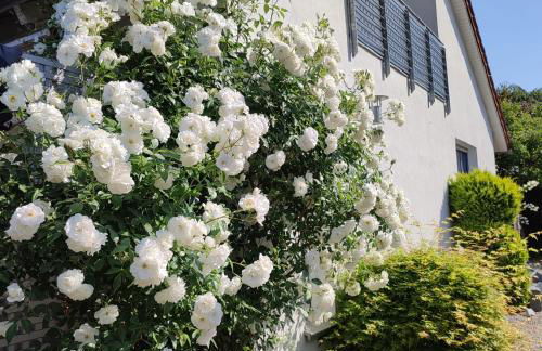 Anette's nettes Dachjuchhe - Foto 35