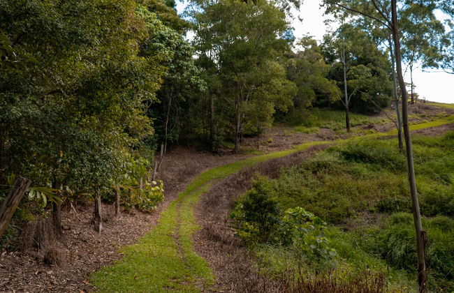 Whispering Valley Cottage Retreat - Photo 51