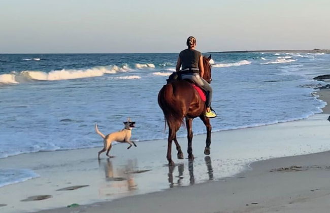 Branco Suites - Foto 71