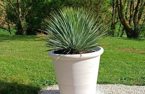 Clos Baroanni - Gîte Terra - Foto 10