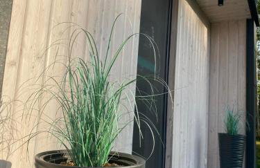 Lazurowy Brzeg - Foto 46