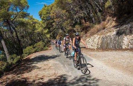 Mljet Sunset Apartments - Photo 35