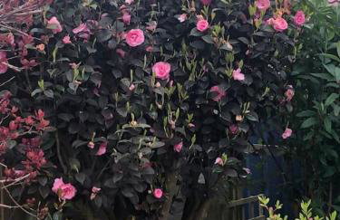 Coastal Haven - Foto 42