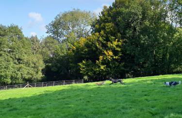 Ponycob hot tub 2 bed ensuite - Photo 11