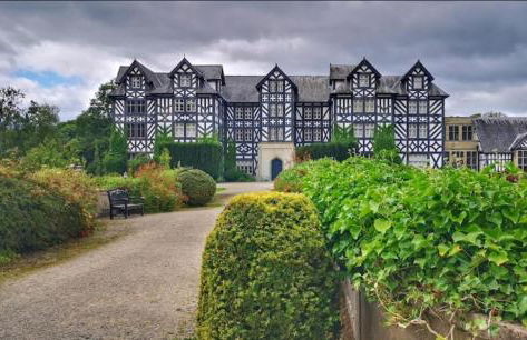 Honey Bee Cottage Tiny House Welshpool - Photo 12