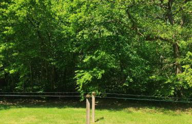 La Lisière Appartement 2 chambres - Foto 12