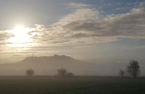 Bettches Hof - Foto 79