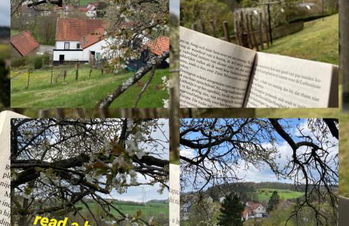 Luxe, landelijke vakantiewoning der alte Birnenbaum Duitsland-Sankt Wendel - Foto 31