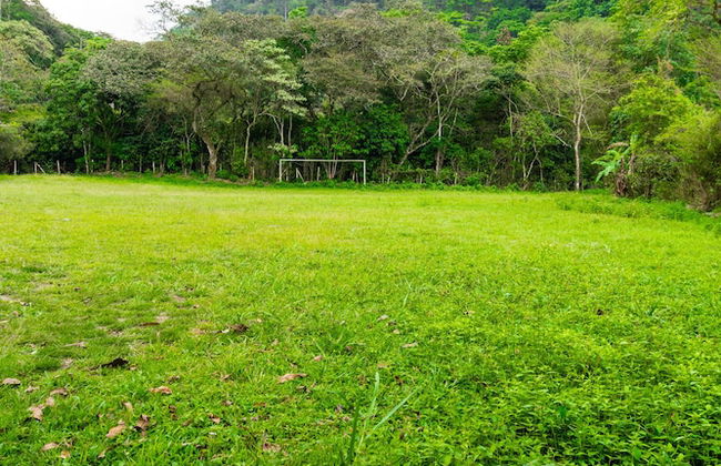 Casa de campo Los Yungas - Photo 24