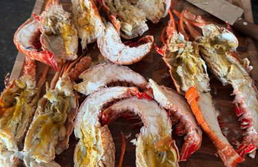 Casa da Maré Pé na areia Suítes climatizadas e deck vista mar - Foto 19