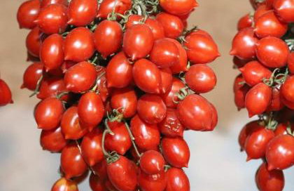 "Dint e viche e Napule" Guest House - Foto 49