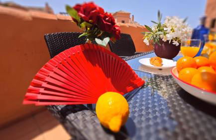 Flamenco Rose - Photo 7