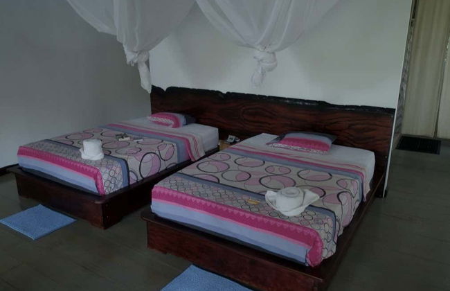 Loero Amazonian Community Multi-Day Visit - Photo 6