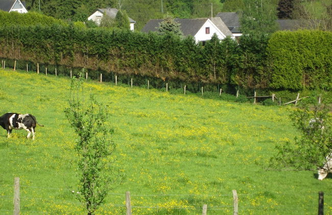 Ardennes Getaway in Houffalize - Foto 50
