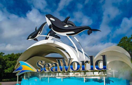 The Pelican/Pool/HotTub/GameRoom - Foto 40