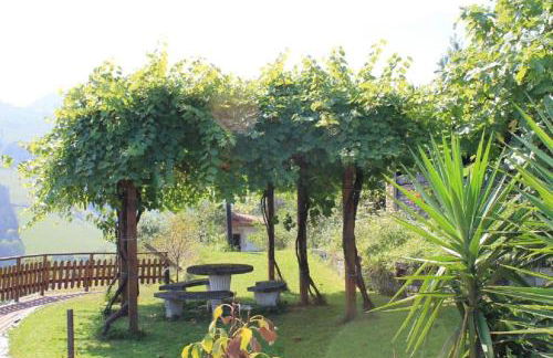 Casa Rural Zelaieta BerriBi - Photo 44