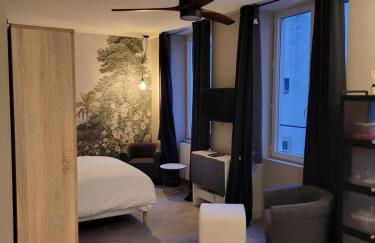 Ainay/centre Lyon/un cocon ! - Foto 20