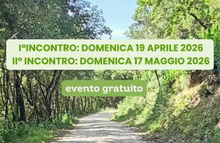 Suite Romantica Borgo di Castelleone di Deruta - Foto 13