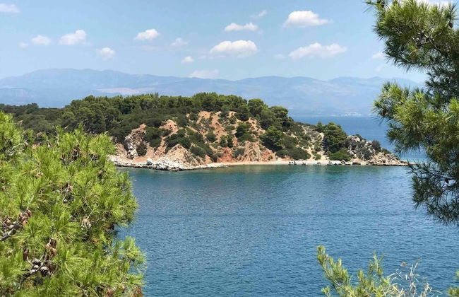 Villa Sophia in Drosia, Chalkis - Foto 15